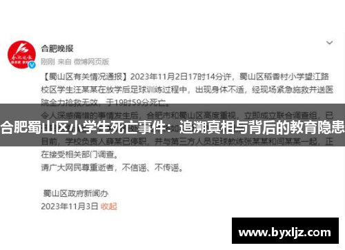 合肥蜀山区小学生死亡事件：追溯真相与背后的教育隐患