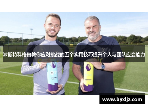 波斯特科格鲁教你应对挑战的五个实用技巧提升个人与团队应变能力