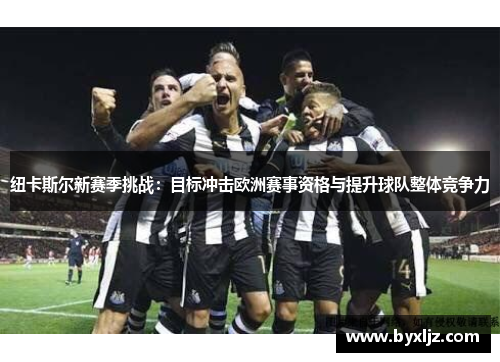 纽卡斯尔新赛季挑战：目标冲击欧洲赛事资格与提升球队整体竞争力