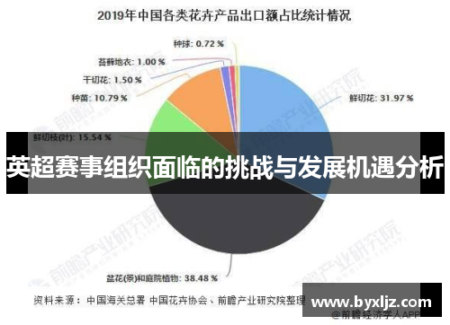 英超赛事组织面临的挑战与发展机遇分析